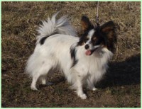 /album/fotogaleria/gina-jpg/