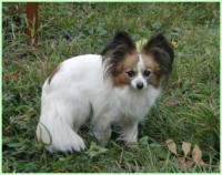 /album/fotogaleria/pa193661-jpg/