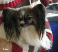 /album/fotogaleria/camiii-jpg/