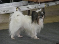 /album/fotogaleria/v-kruhu1-jpg/