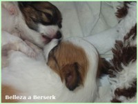 /album/fotogaleria/bella-a-berko1-jpg/