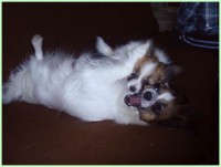 /album/fotogaleria/kali-a-kyra-jpg/