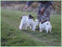 /album/fotogaleria/na-prechadzke-jpg/