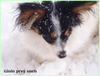 /album/fotogaleria/pb170380-jpg/