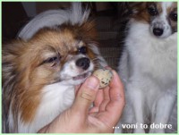 /album/fotogaleria/voni-to-dobre-jpg/