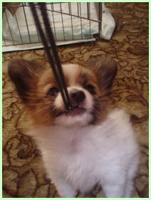 ... už toľko nefoooť :)